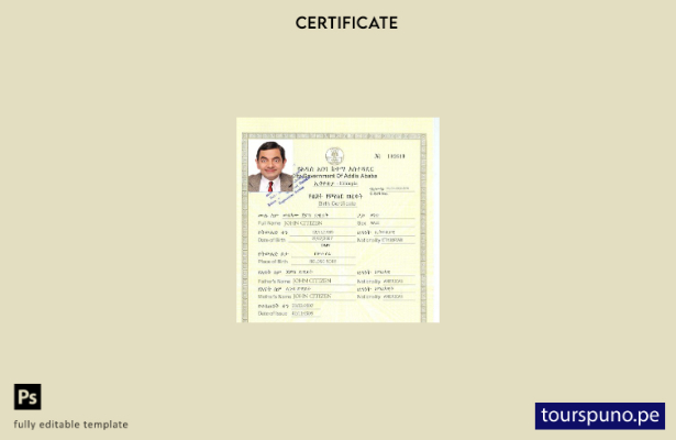 listo para imprimir plantilla de certificado de nacimiento del Gobierno de Addis